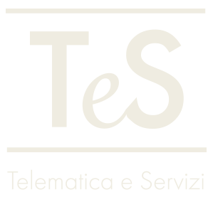 Telematica e Servizi